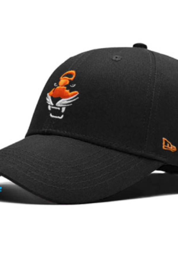 mẫu mũ nón đồng phục nhân viên công ty vn11