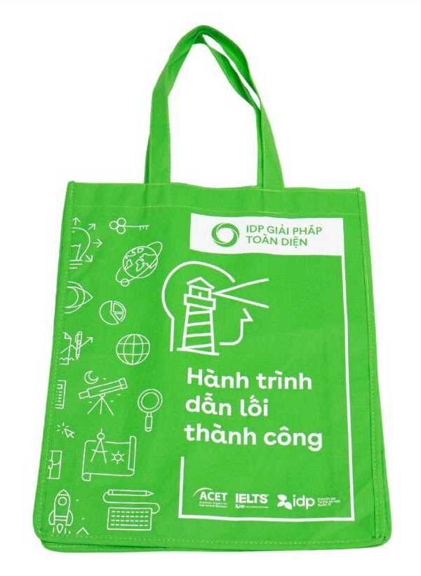 Mẫu túi vải không dệt 01