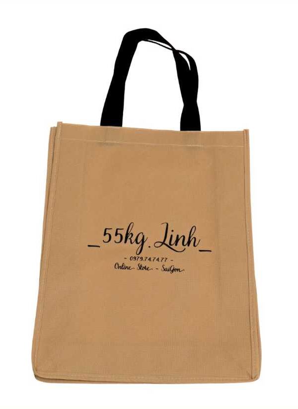 Mẫu túi vải không dệt 04