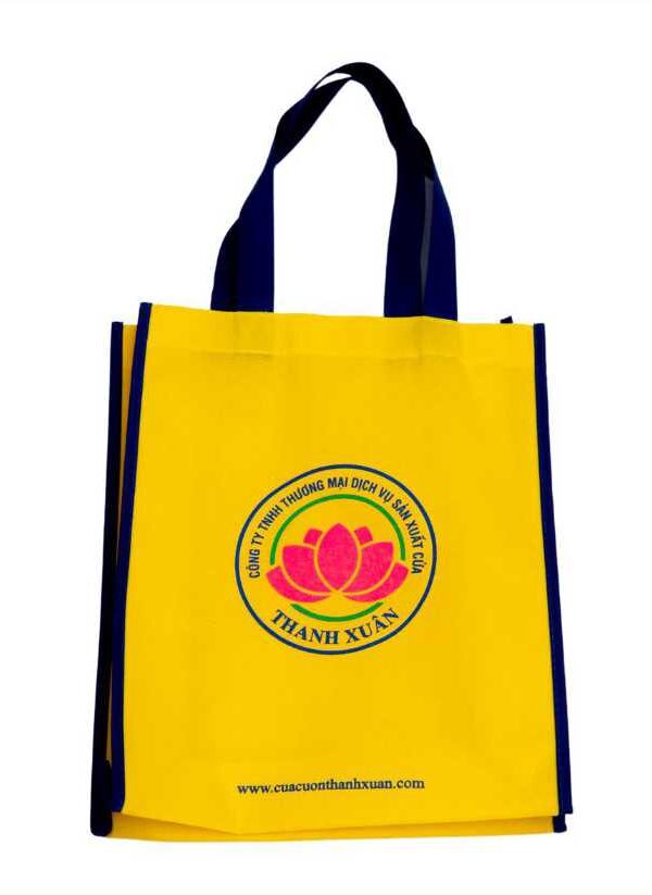 Mẫu túi vải không dệt 05