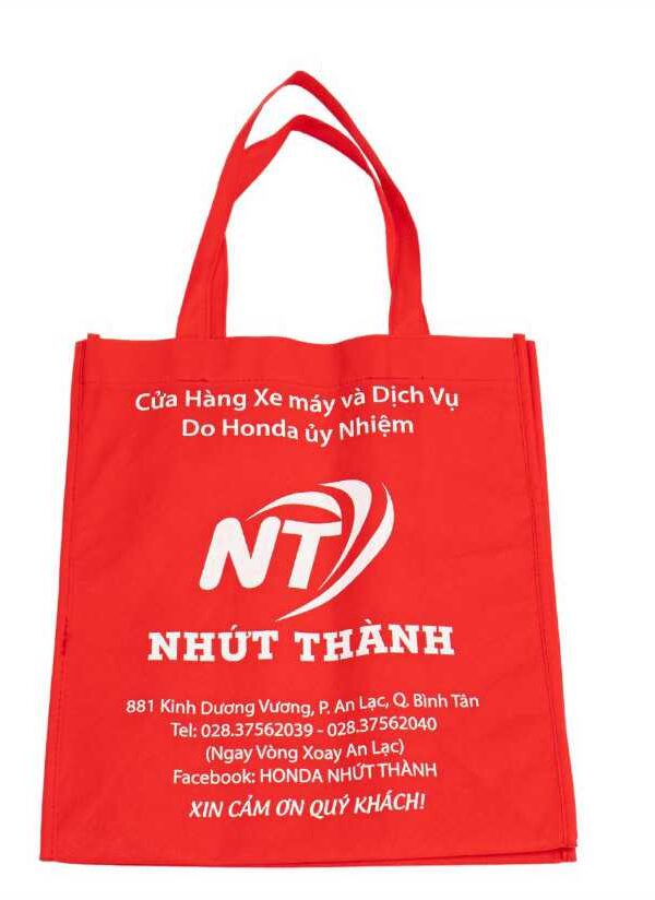 Mẫu túi vải không dệt 06