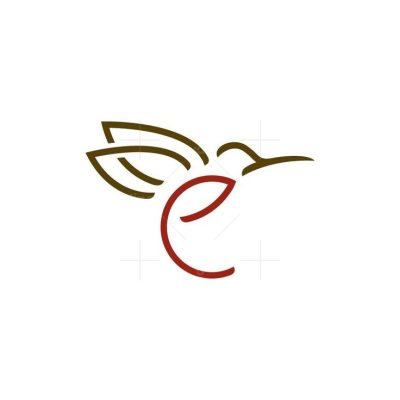 Letter e Hummingbird Logo Colibri Logo
