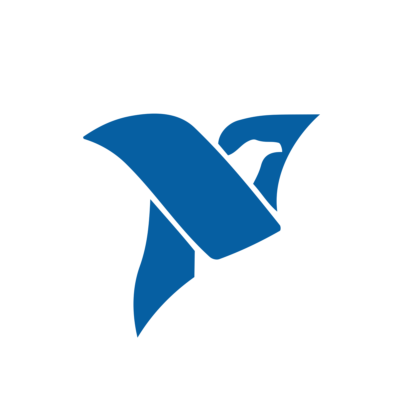 National Instruments Logo Real Company Alphabet Letter N Logo