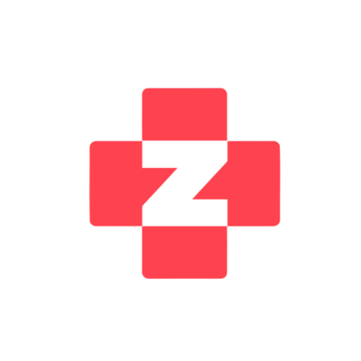 Zedic Logo Real Company Alphabet Letter Z Logo