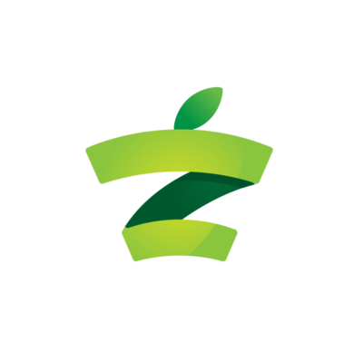 Zestible Logo Real Company Alphabet Letter Z Logo