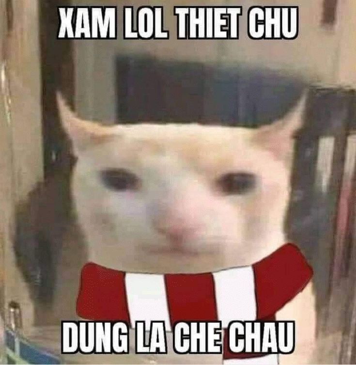 Dong nhan KnY Vo Tu Thieu Nu Thich Tao Nghiep