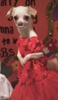 17 1
