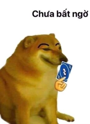 18 1