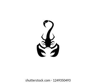 24201 Scorpion Vector Images Stock Photos Vectors Shutterstock 1