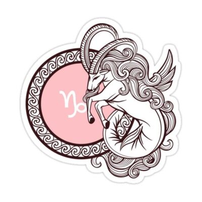 Aesthetic Capricorn Zodiac Logo Sticker by tkarhou