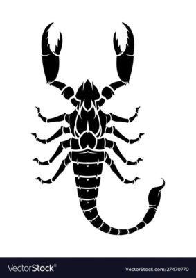 Black silhouette a scorpion vector image on VectorStock