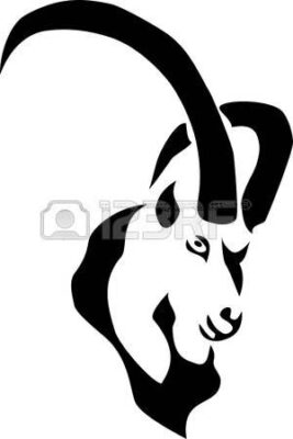 Capricorn Stock Photos and Images 123RF