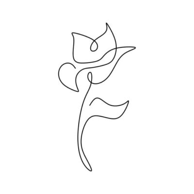 Continuous Line Art Vector Design Images Lily Flower Blooming One Continuous Line Art Drawing Vector Illustration Flower Drawing Flower Sketch Blossom PNG Image For Free Download