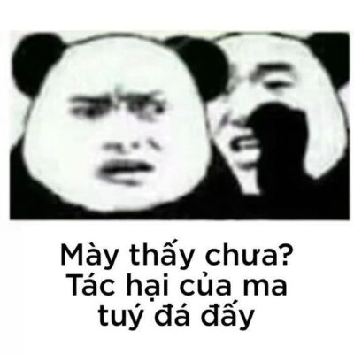 Dong nhan KnY Vo Tu Thieu Nu Thich Tao Nghiep