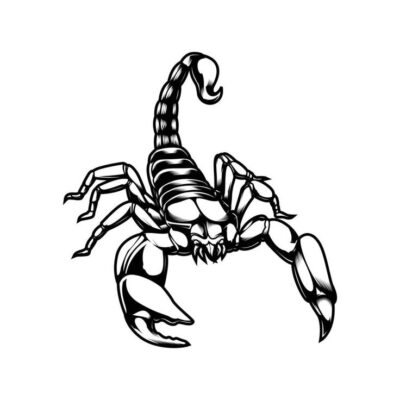 Download The Scorpion Line Art Vector for free