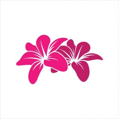 Lilys Silhouette PNG Free Lily Logo Design Vector Icon Logo Icons Lily Clipart Symbol PNG Image For Free Download