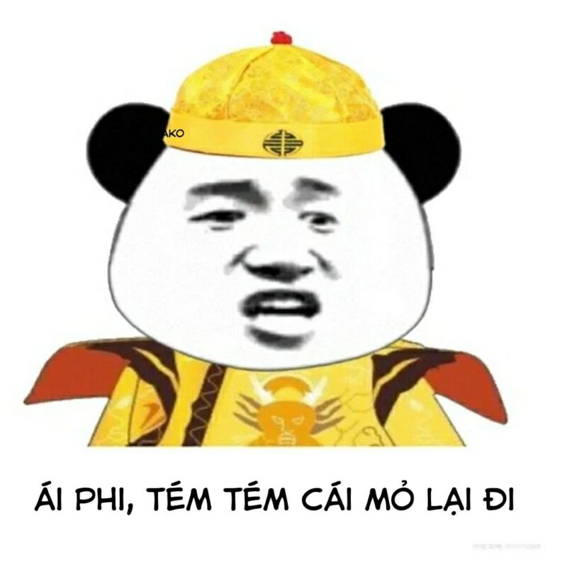 Meme goc Chi Gian 至简 Dich Ai Kieu Oa