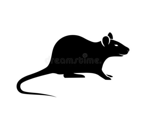 Mouse Silhouette Vector stock vector Illustration of vector 104121425