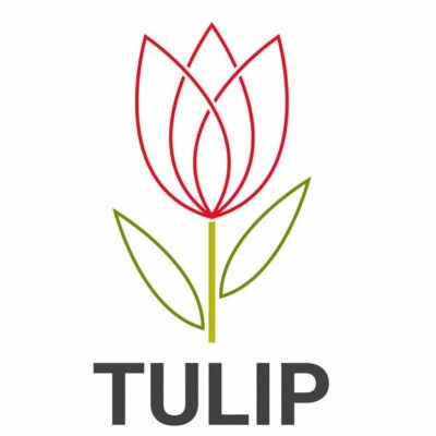 Premium Vector Tulip logo vector