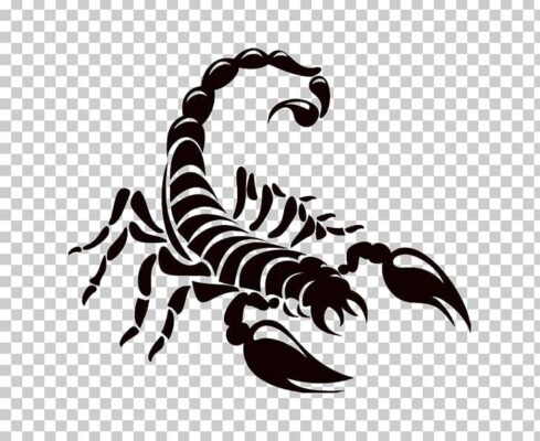 Scorpion Logo Drawing PNG Free Download