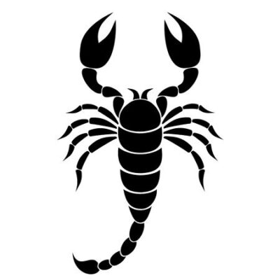 Scorpion Silhouette illustration