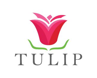 Tulip Logo design Beautiful and attractive…