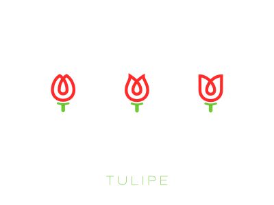 Tulipe 1