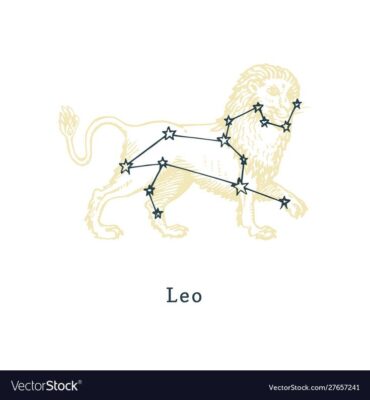 Zodiacal constellation leo on background vector image on VectorStock