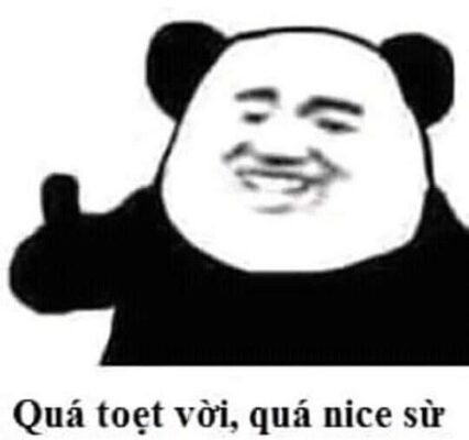 meme gau truc cam on