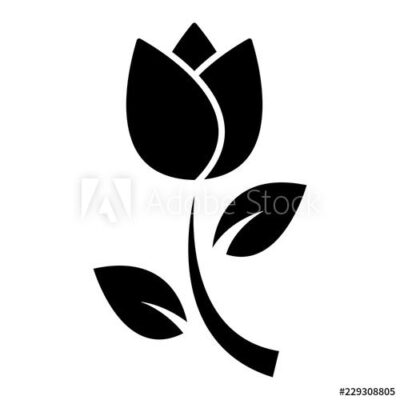 tulip flower silhouette vector