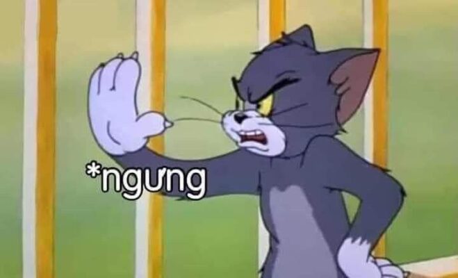 “CƯỜI TÉ GHẾ” VỚI ẢNH MEME HÀI HƯỚC, LẦY LỘI NHẤT NĂM 2023 42 Đối tượng dùng ảnh meme hài hước