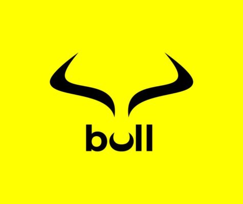 Bull logo 3