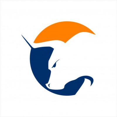 Premium Vector Bulls head logo