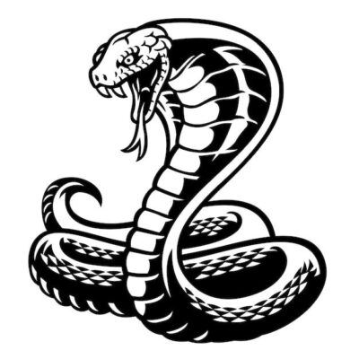 Premium Vector Cobra snake tattoo style in black and white