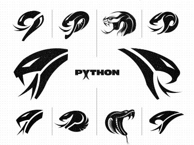 Python Safety Logo Design Concepts