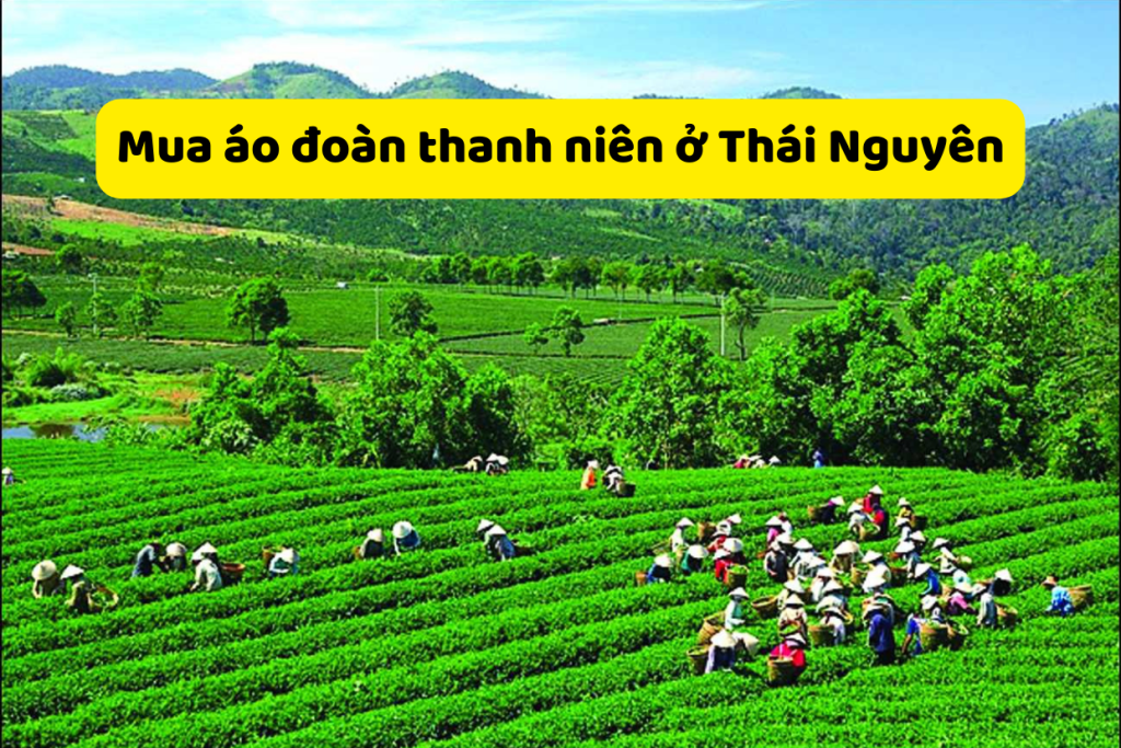 Mua áo đoàn thanh niên ở Thái Nguyên